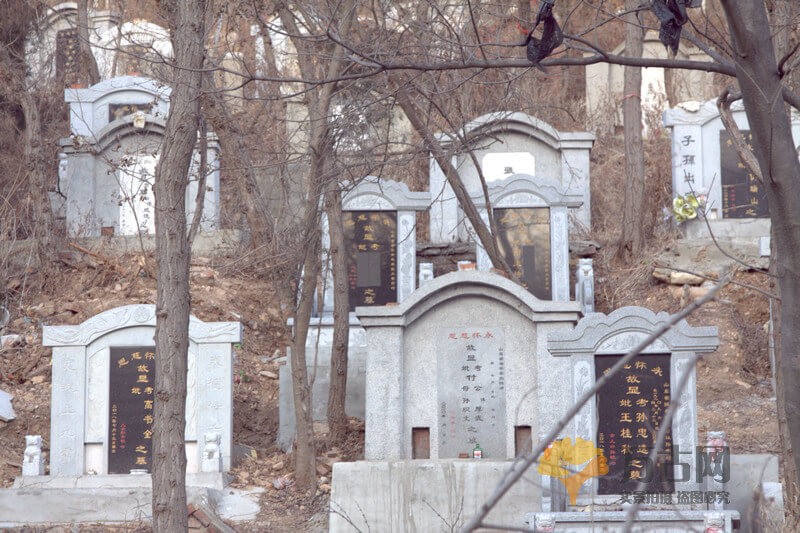 大连老麻沟山林墓地