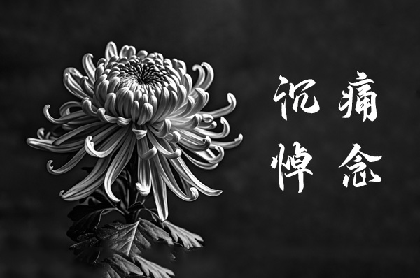深切缅怀北京大学赵凯华教授：物理学界与教育界的巨星陨落
